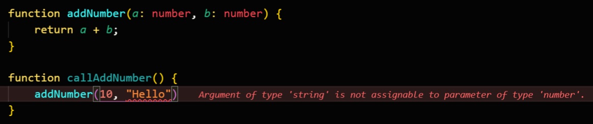 An error when the wrong type has been entered into the function